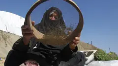 Palestina