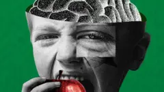 মানুষ আপেল মস্তিষ্ক