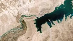 کجکي