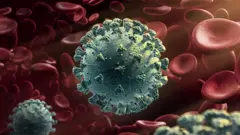 New variant of Coronavirus