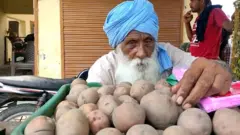 moga