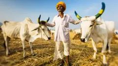 ગુજરાત, ખેડૂ, પાણી, ઠંડી, ગરમી, શિયાળો, ઉનાળો, પાક, હવામાન, ગુજરાત હવામાન, બીબીસી ગુજરાતી, ગુજરાત સમાચાર, ગુજરાતીમાં સમાચાર