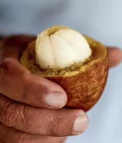 Mão segurando uma fruta com casca marrom e polpa branca