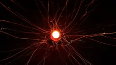 न्यूक्लियर फ़िज़न