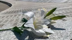 Cvet na usijanom mermeru