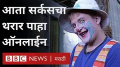 सर्कस, ऑनलाईन सर्कस