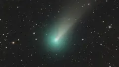 El cometa Leonard