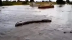 ኣብ ጋና ዘጋጠመ ዕልቕልቕ