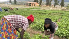 Bamwe mu bagore bagize koperative Imboni bari mu murima