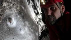 ใยแมงมุม