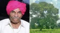 కేశవ్ శిందే, ఆయన పొలంలోని చెట్టు 