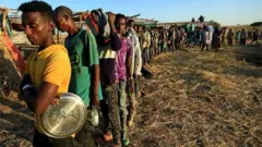 በሺዎች የሚቆጠሩ ተፈናቃዮች በሱዳን የስደተኛ ካምፖች ይገኛሉ