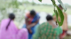 கிருஷ்ணகிரி மாவட்ட குறவர் இன பெண்களுக்கு பாலியல் கொடுமை? பிபிசி தமிழ் களஆய்வு