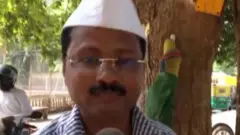 गुप्ता जी चाट वाले
