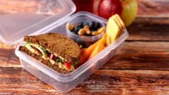 Recipiente plástico com um sanduíche de pão integral, bolachas, cenouras e um pote com castanhas e frutas