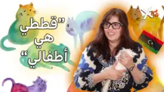 صورة من تقرير لبي بي سا إكسترا 