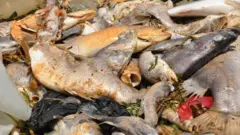 National Environment Management Authority