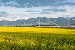 Кытайдын жогорку ылдамдыктагы поезддери 