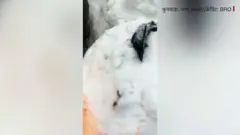 बीआरओ