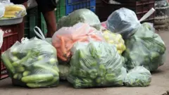 పాలిథీన్ బ్యాగులు