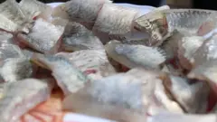 Foon qurxummii