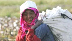 ஜவுளித்துறை