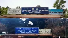دانشگاه بلخ
