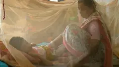 হাসপাতালে চিকিৎসাধীন ডেঙ্গু রোগী