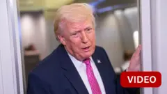 டிரம்ப் 