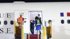 emanuel makron šamar od žene u avionu