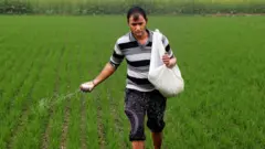 હેબર, બીબીસી, ગુજરાતી, ખેતી, કૃષિ, ખાતરની શોધ, ખાતરનો ઇતિહાસ, ગુજરાત