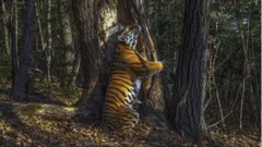 The embrace by Sergey Gorshkov, Russia