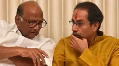 ઉદ્ધવ ઠાકરે અને શરદ પવાર