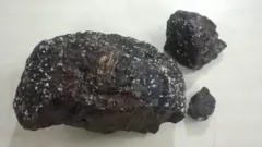 அம்பர் கிரிஸ்