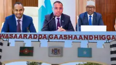 Wasaaradda Gaashandhigga Soomaaliya