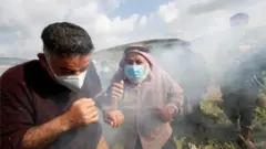 محیط زیست