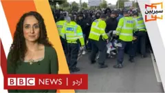 سیربین، انڈین پاکستانی کرکٹ فین