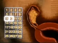 Aworan kalenda ati oju ile ọmọ obinrin