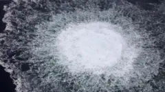 Kuzey Akım