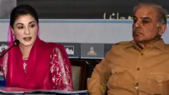 شہباز شریف، مریم نواز