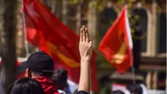 Anti-coup protesters