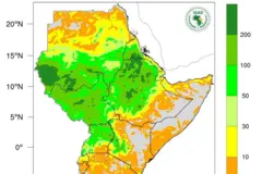 ምብራቕ ኣፍሪቃ