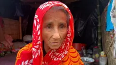 అమీనా ఖాతూన్ 