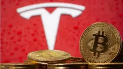 بیت کوین و تسلا