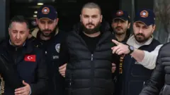 مالک تودکس