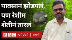 शेती