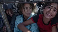 طفلة تحاول الحصول على غذاء في قطاع غزة