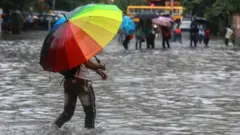 વરસાદ