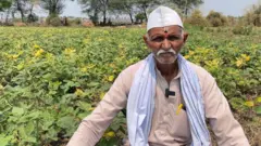 शेतकरी प्रभाकर सांगळे