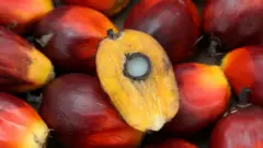 पाम तेल